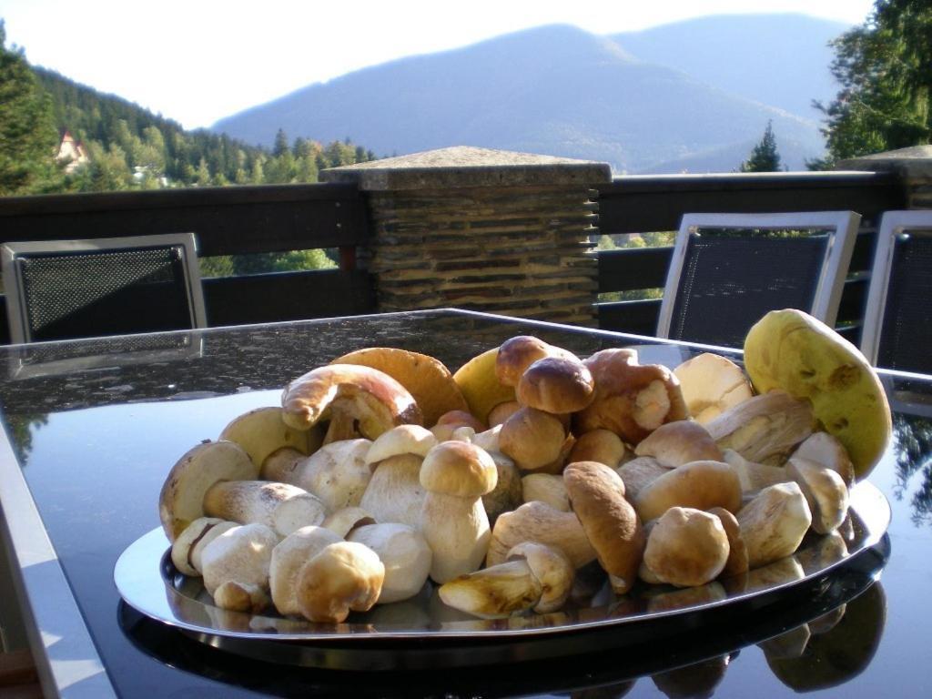 Hotel Ondras Z Beskyd Ostravice Esterno foto